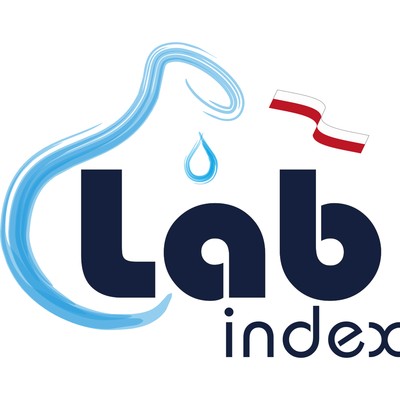 Logo-Labindex-Square-400x400-1